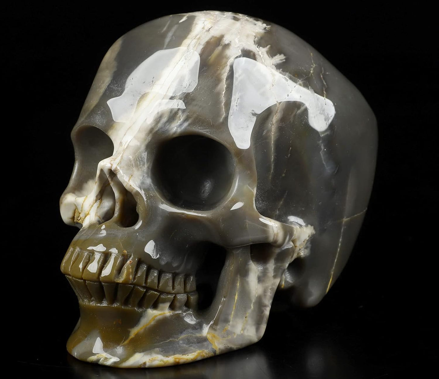Skullis 5.0" African Petrified Wood Super Realistic Crystal Carved Crystal Skull. Hand Carved Gemstone Fine Art Sculpture.2260 Z8