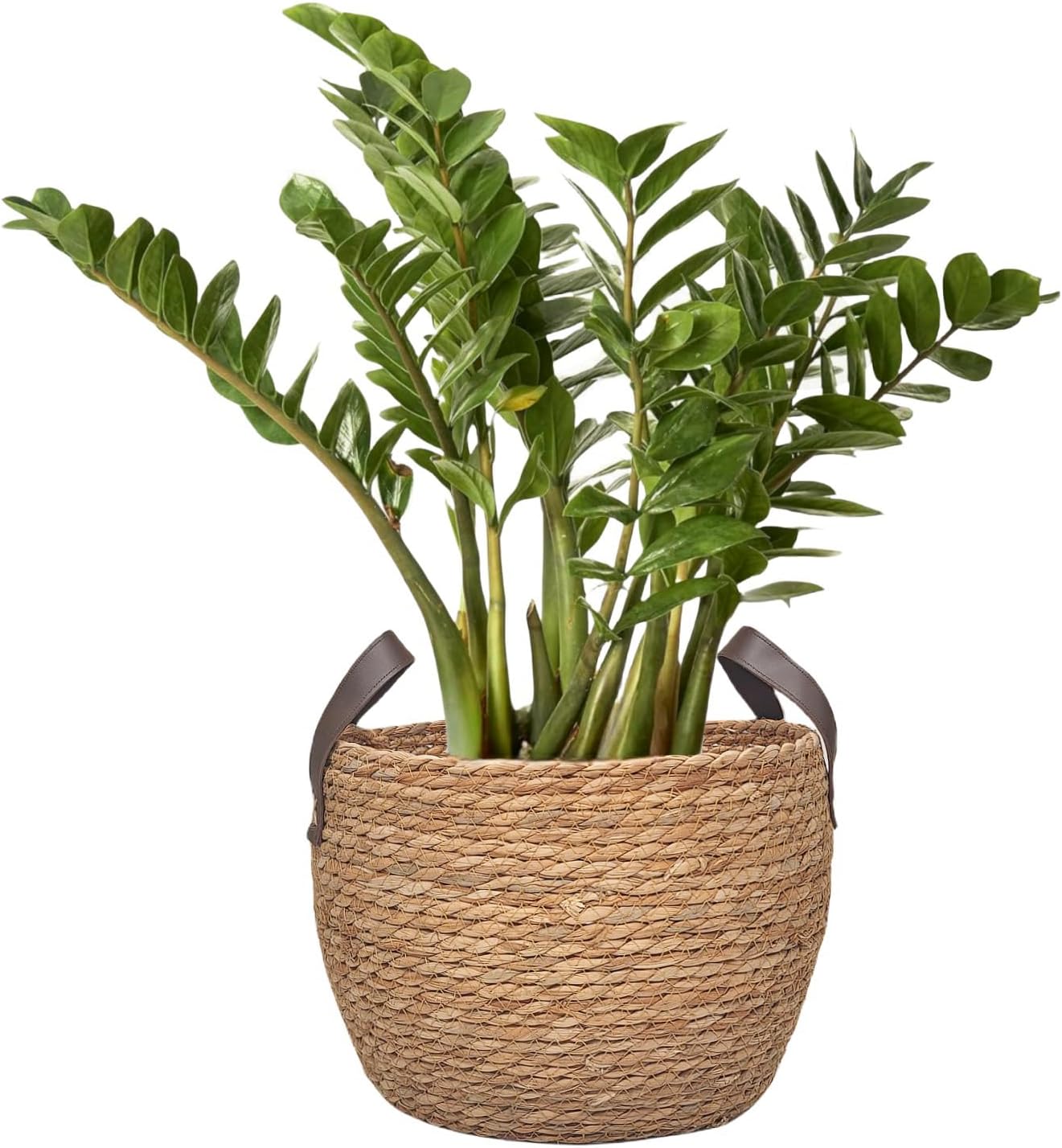 GIB Round Wicker Woven Seagrass Storage Baskets with Leather Handles Set of 3, Natural Decorative Braided Rope Wicker Baskets Bins for Shelves Blankets Organizing, 13", 12" & 11"