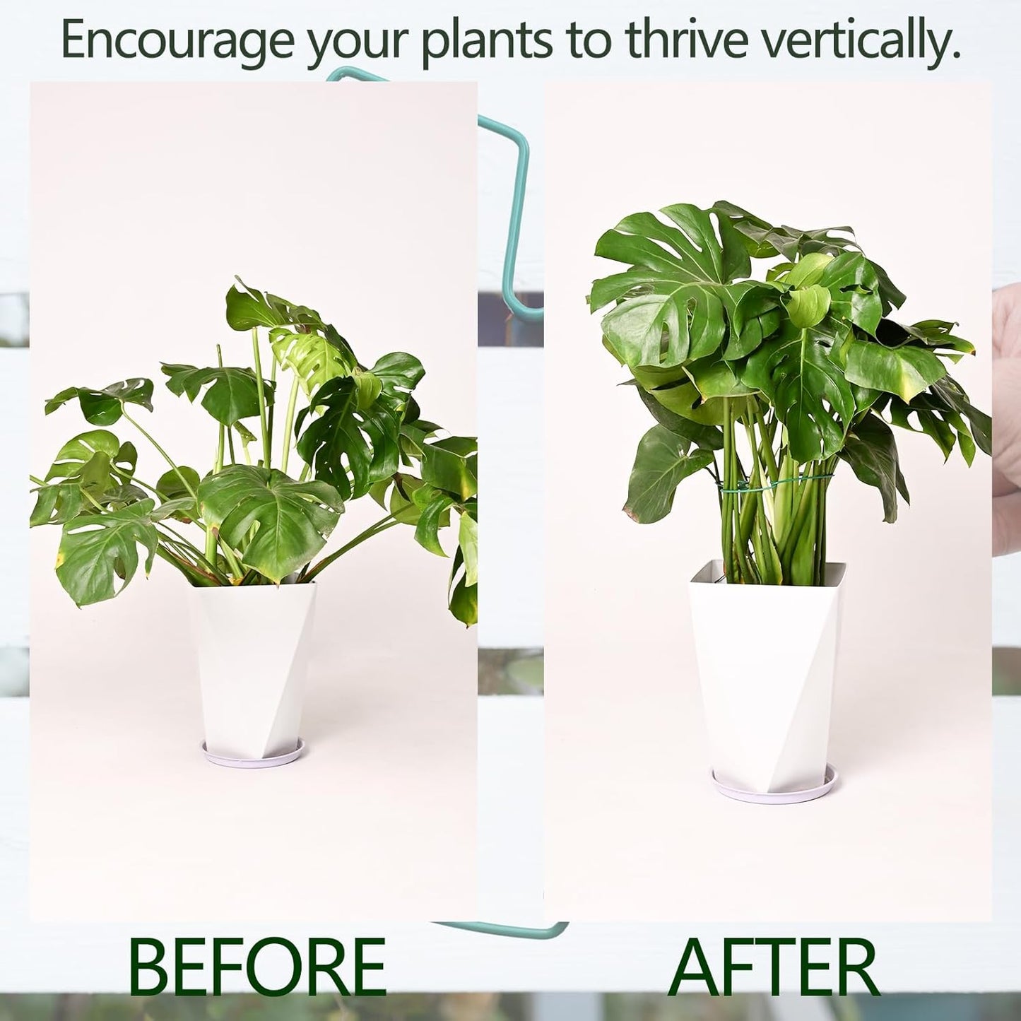 5PCS Monstera Plant Support Stem 9 x 7.6 in- Durable Stabilizer Set for Indoor Climbing Plants, Holders for Enhancing Growth, Ideal Gift for Plant Lovers, Fishbone Cactus Stake Garden Tool