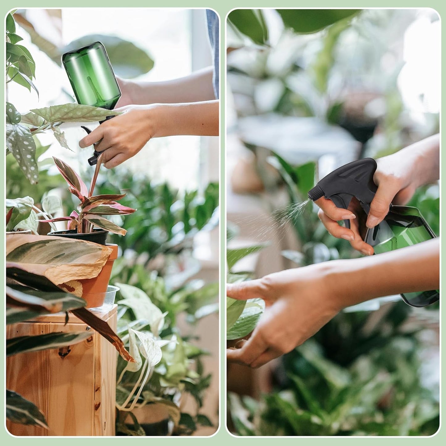 Baderke 2 PCS 360° Spray Bottle, 16 oz Upside Down Spray Bottles, Plastic Spray Bottles is Nice for Plants, Cleaning Solutions, Durable Nozzle w/Fine Mist and Stream Setting(Green)