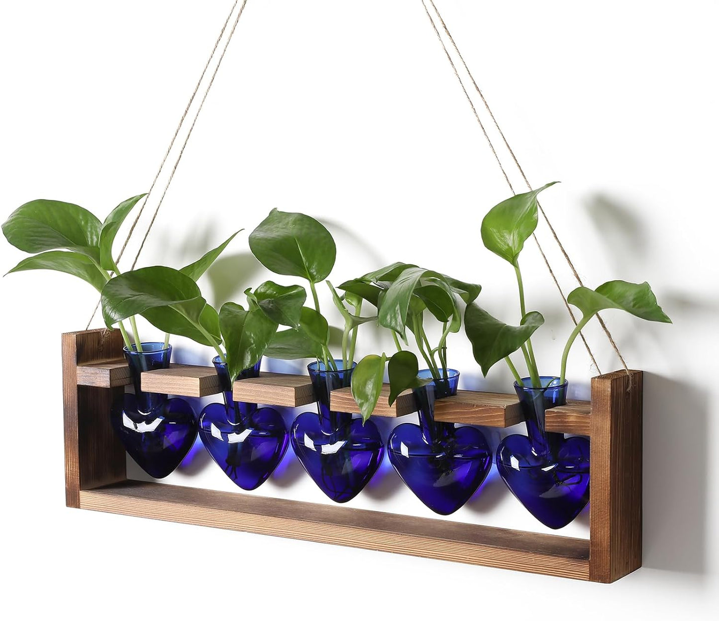 Plant Terrarium Hanging Propagation Stations Gift for Women Air Plants Holder with Wooden Stand Heart Glass