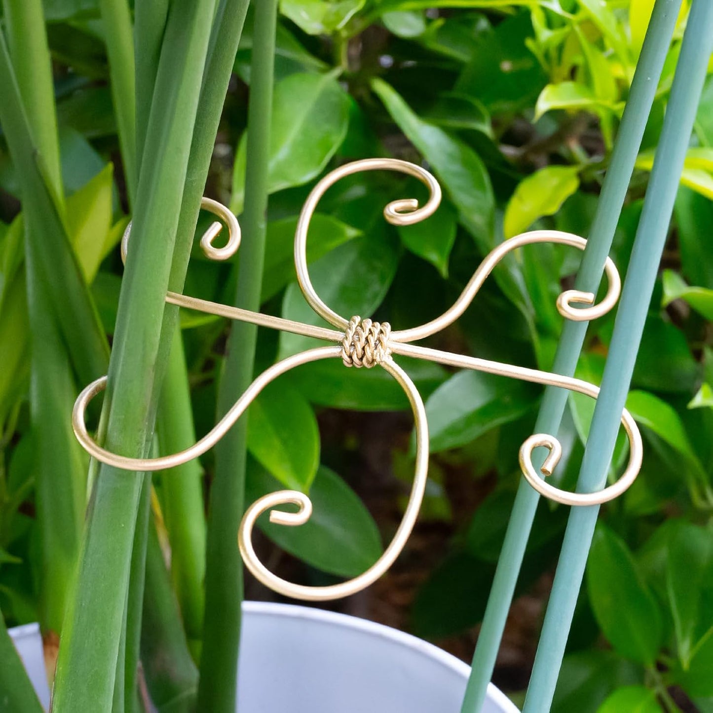 5PCS Monstera Plant Stem Support Hook - 6.5 * 6.5IN Durable Metal Stem Stabilizer for Monstera Plants and Fishbone Cactus - Gentle Protection Leaf Holder - Easy Installation - 5 Piece Set