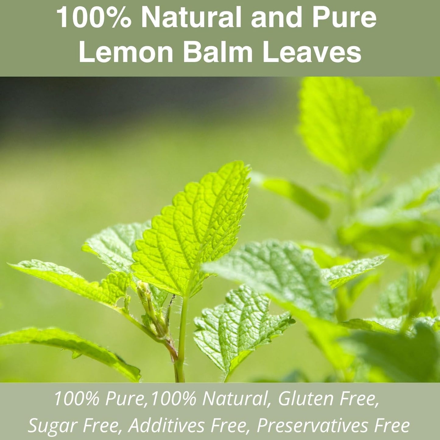 Lemon Balm Tea Bags – 50 Count | Dried Lemon Balm Leaves for Relaxation & Sleep | Calming Herbal Tea | Caffeine-Free