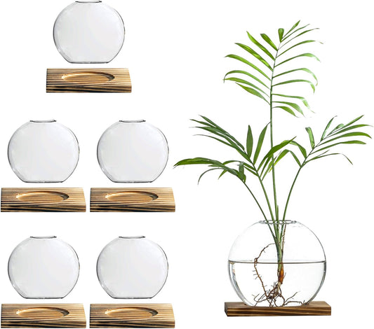 Glass Planter Propagation Station with Wooden Base - Clear Oblate Hydroponic Vase, Decorative Desktop Flower Vase for Home, Office, Windowsill - Gift for Plant Lovers (6)