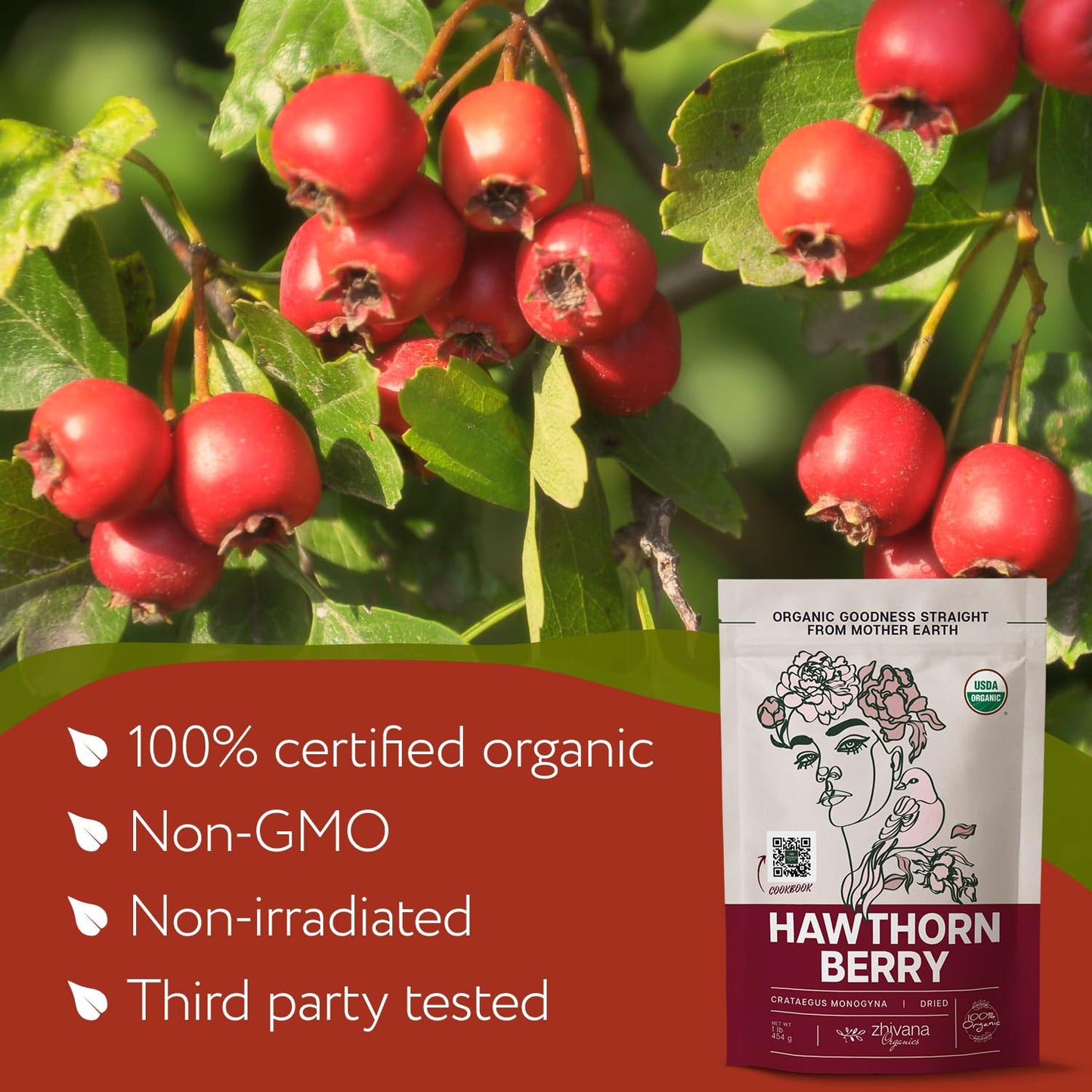 Organic Hawthorn Berry Tea (16 oz.) - Hawthorn Tea, Hawthorne Berries - High Blood Pressure, Heart Health Support, Relaxation