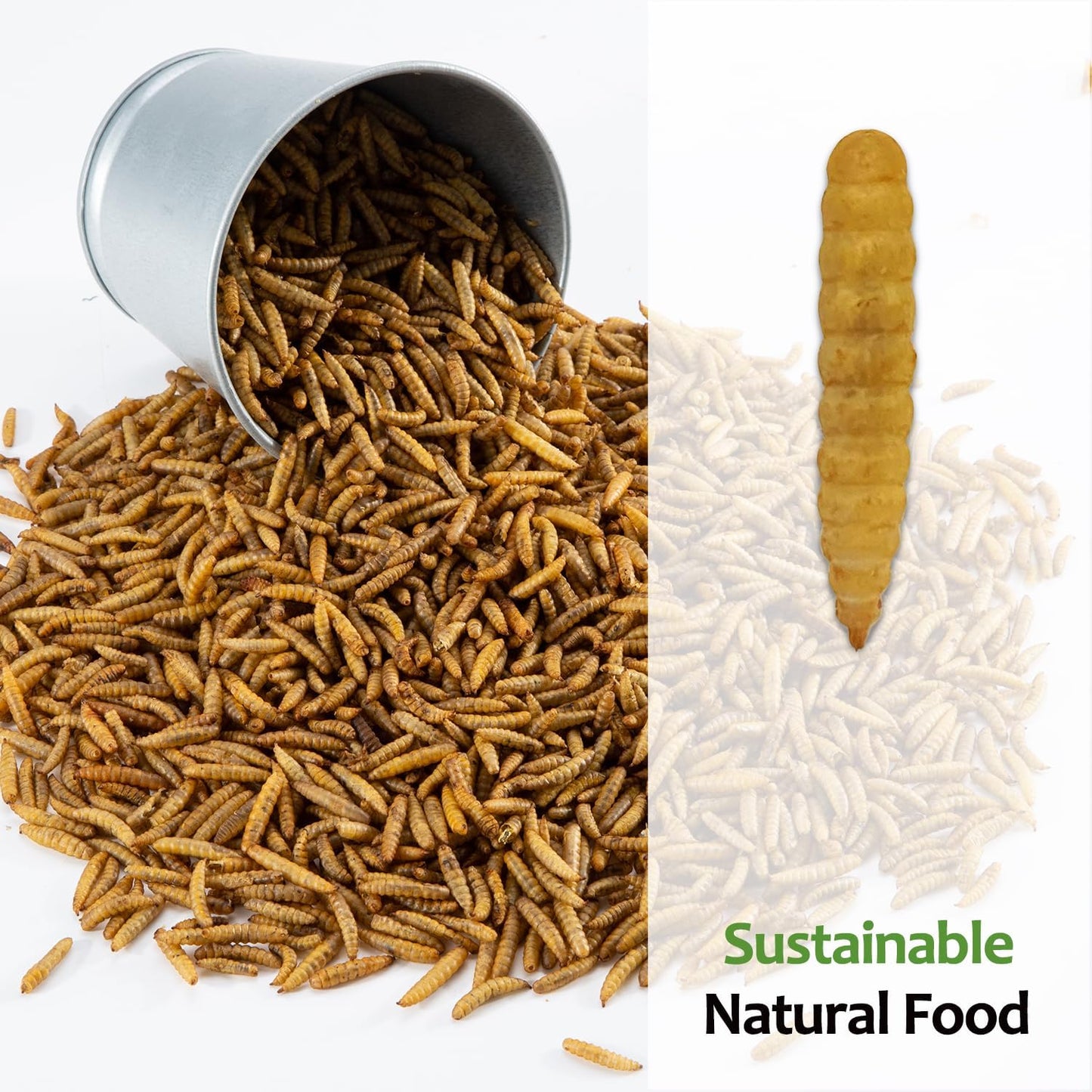 Adaman Dried Black Soldier Fly Larvae 20 LBS-100% Natural Non-GMO BSF Larvae-More Calcium Than Dried Mealworms High-Protein Chickens Treats, Food for Birds, Ducks, Repitle, Hedgehog, Bearded Dragon