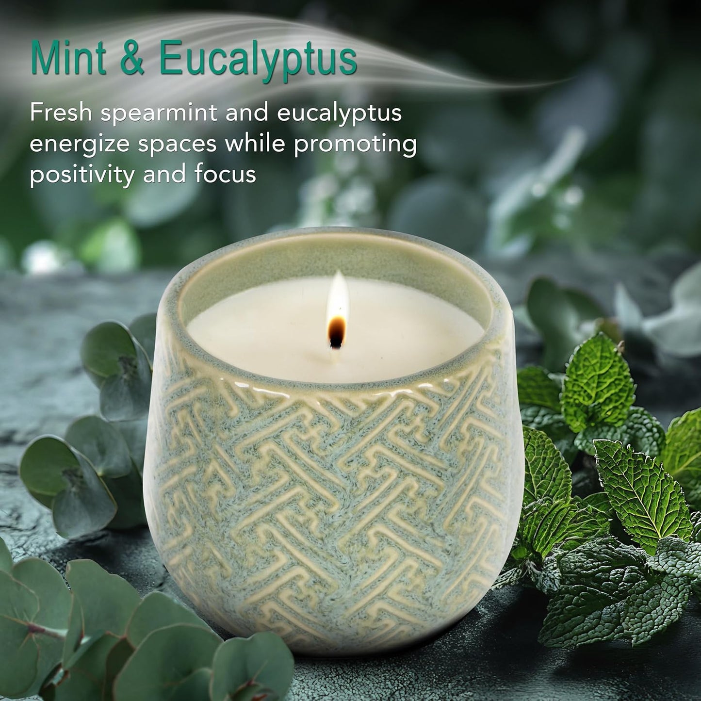 The Growing Candle, Mint & Eucalyptus Scented, 10oz Ceramic Pot, Aromatherapy Candles, 100% Soy, Ida