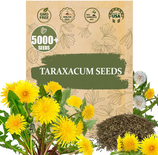 Premium Taraxacum Dandelion Seeds - 5000 Non-GMO Heirloom Purple-Stem Dandelion Seeds for Planting, Herbal Tea & Pollinators –Most Medicinal Variety (Taraxacum)