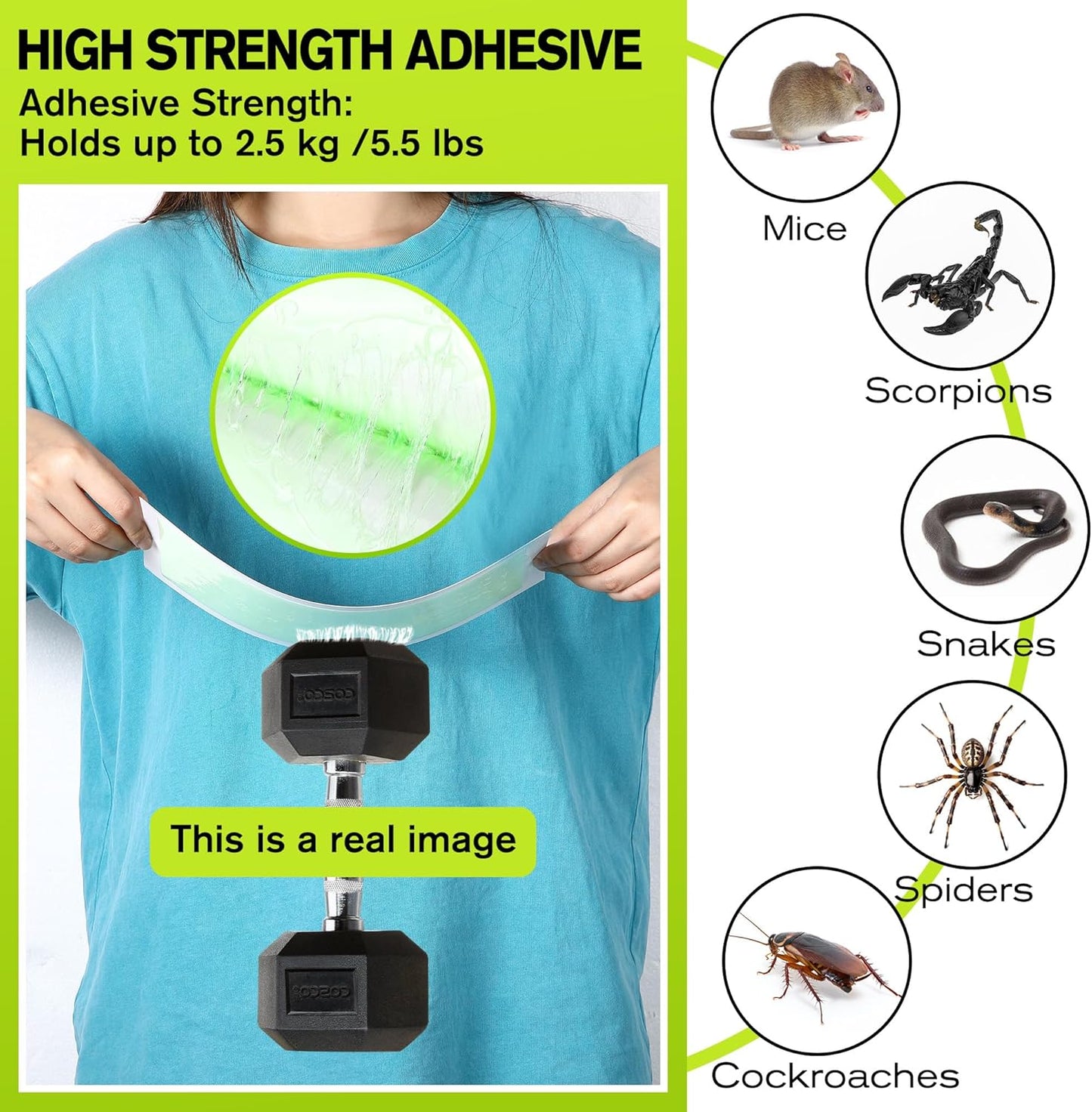 Qualirey 10 Pack Large Sticky Mouse Traps, 11 x 5.3 Inch Non-Toxic Bulk Mice Glue Trap, Rat Glue Boards Indoor Pest Control for Rodent and Insects, Snakes, Cockroaches, Spiders, and Scorpions