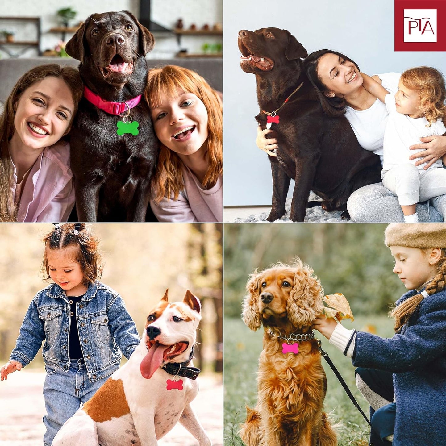 [Press TX Art] 40 Pcs Round(Circle), Bone, Rectangle, Heart Anodized Aluminum Stamping Blanks Tags 10 Mixed Colors Metal Engraving ID Name Tags with Rings (Bone in 10 Colors)