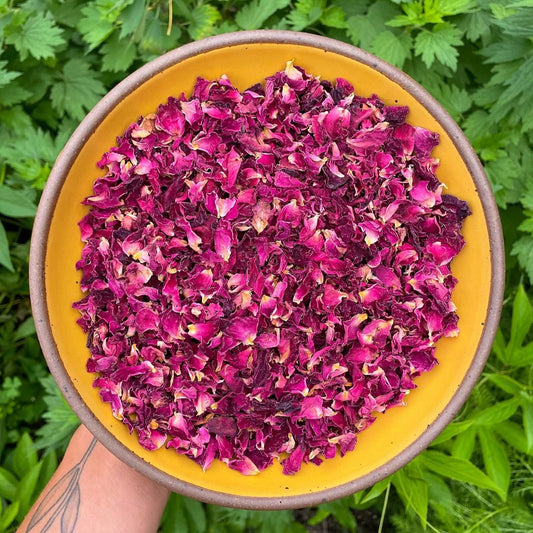 Fangkic Dried Rose Petals-1oz(28g) Dried Edible Flower Cake Decoration, Edible Rose Petal for Cocktails Drinks Baking Tea Soap & Candle Making, Gluten-Free, No Additives