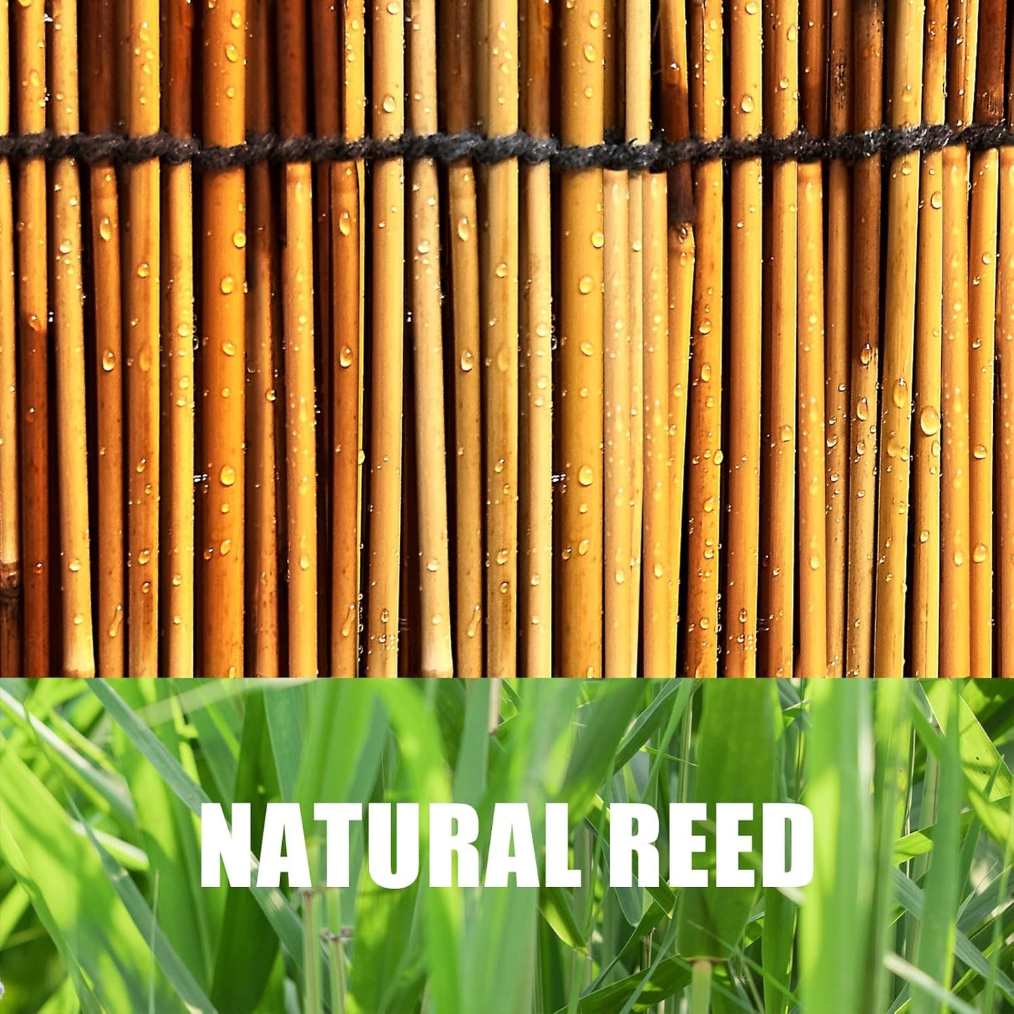 1 Pack Reed Fencing Rolls, Decorative Bamboo Fencing 6ft High Roll Reed Screen, Bamboo Reed for Balcony Patio Garden Backyard Outdoor
