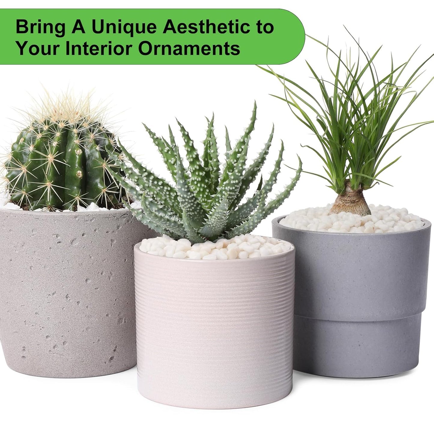 5 lbs White Pebbles for Vases, 3/8" Small Plant Rocks for Pots Indoor, Decorative Pea Gravel for Succulents, Bamboo, Terrarium, Landscape, Garden