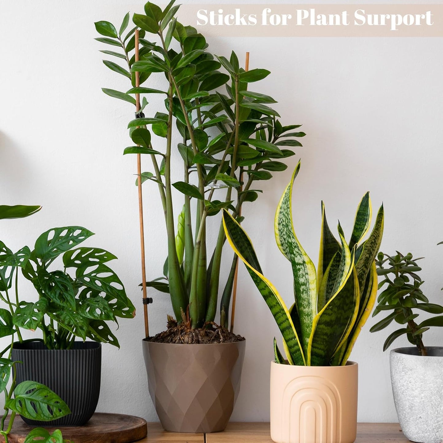 300PCS Marshmallow Roasting Sticks,30 Inch Marshmallow Sticks for Fire Pit Extra Long Wooden Sticks 5mm Thick Bamboo Skewers for Smores Roaster Barbecue Campfire,Weddings and Plant Stakes