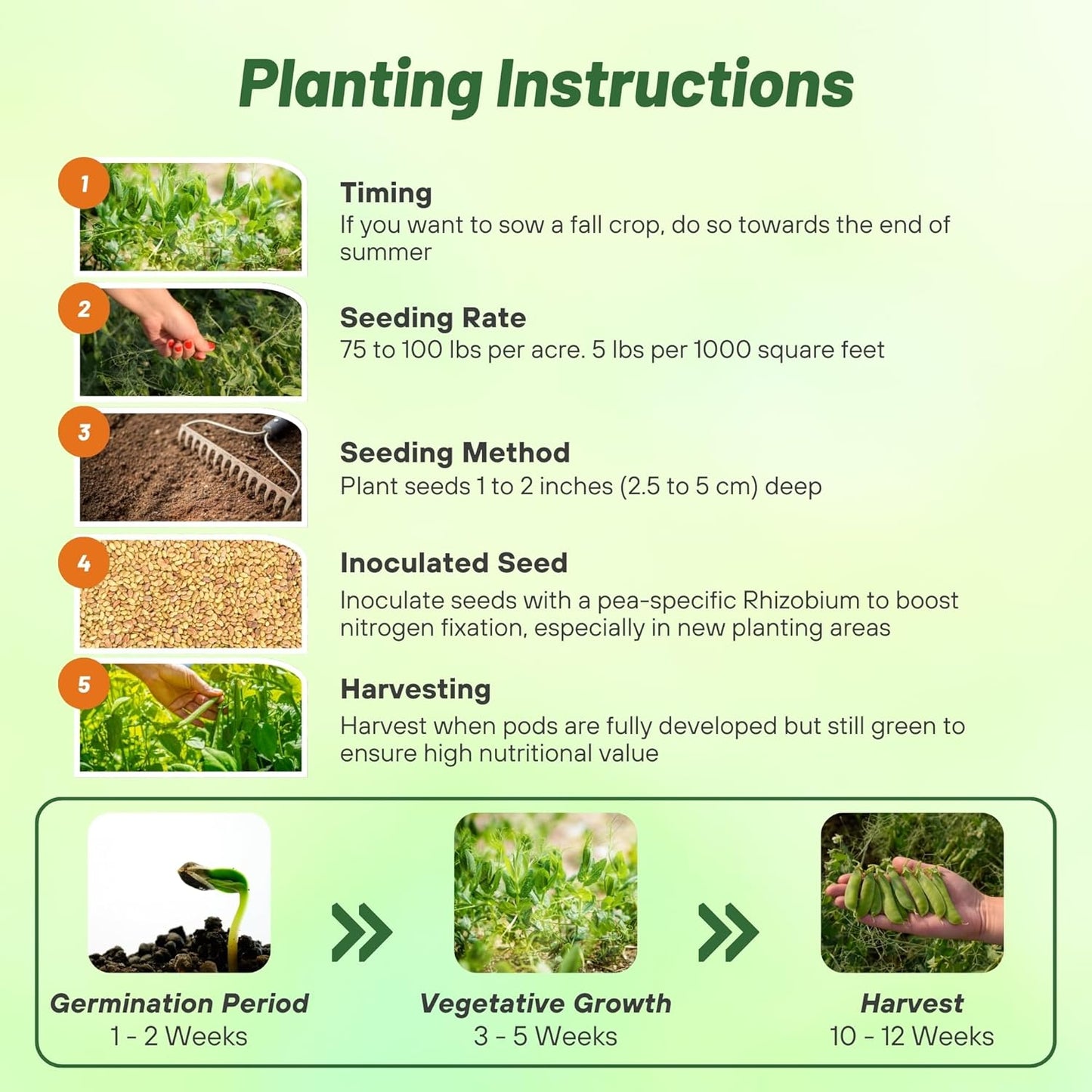 Outsidepride Dundale Spring Field Peas Seeds - 5 lbs. Annual, High-Protein Legume & Cover Crop Seeds for Forage, Food Plot, Gardens & Pastures - Ideal for Improving Soil Health, & Erosion Control