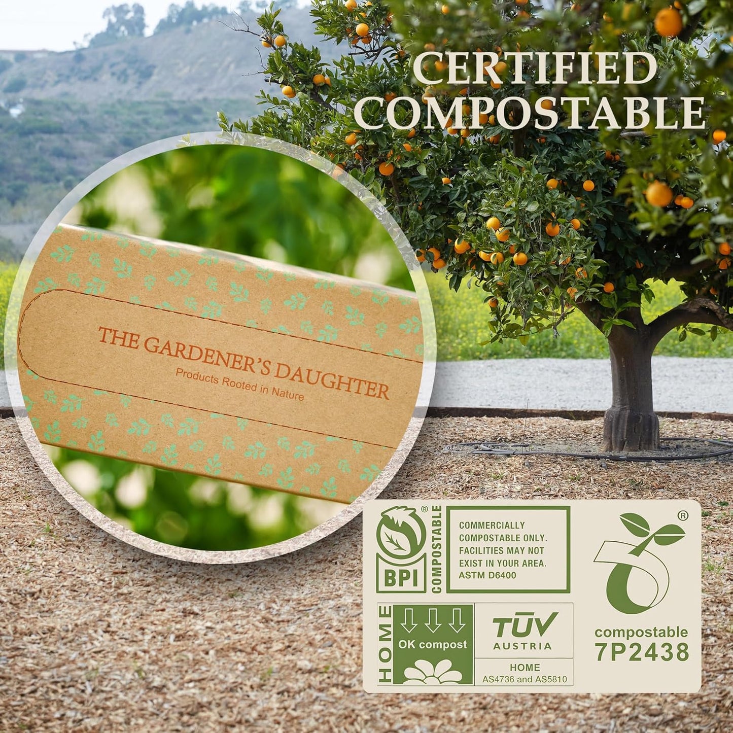 The Gardener's Daughter Compostable Trash Bags - 13 Gallon, 30 Count, Extra Strength, White, Drawstring Kitchen Waste Bag, BPI and TUV Certified, OK Home Compostable - (Winter’s Grace)